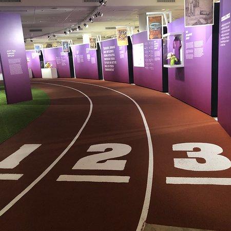 Complexe sportif Singapore Sports Hub